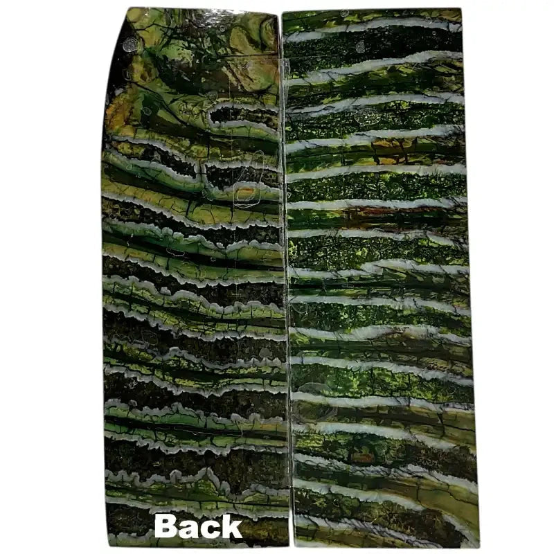 Mammoth Molar Scales- GREEN- .17" x 1.6" x 4.8"- Raffir® Fossils- MMS2 - Maker Material Supply