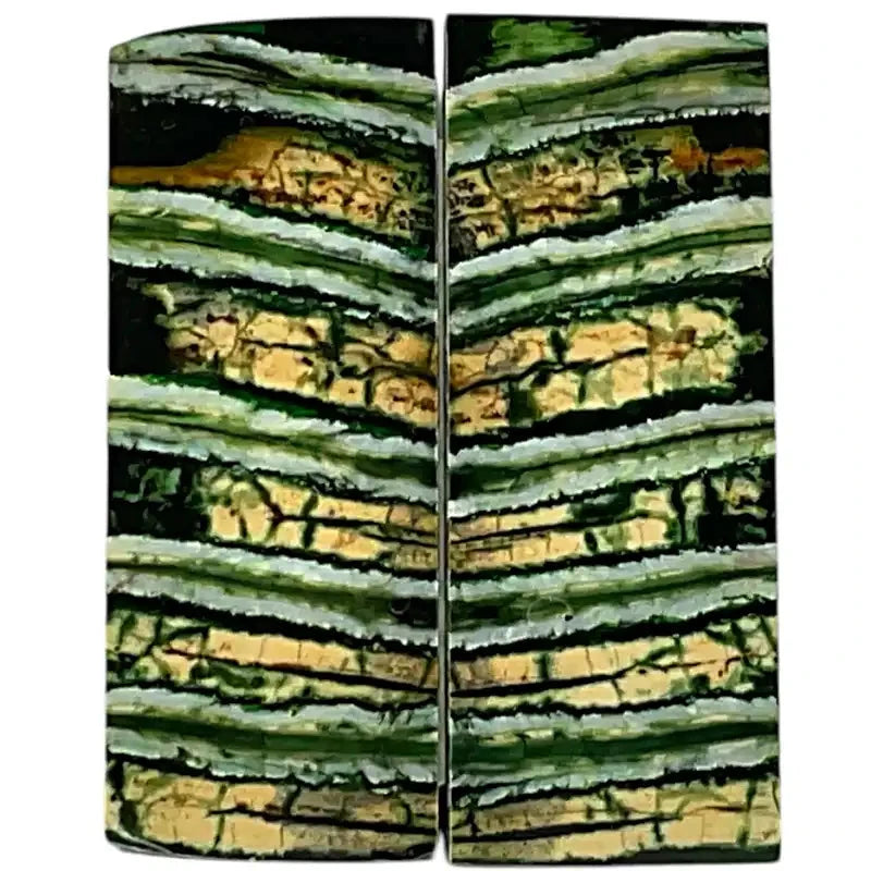 Mammoth Molar Scales- GREEN- 1/8" x 1.4" x 3.5"- Raffir® Fossils - Maker Material Supply