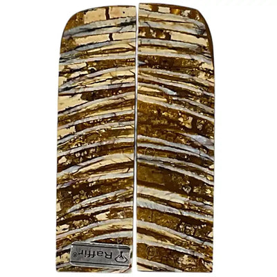 Mammoth Molar Scales- NATURAL- .15" x 1.3" x 4.4"- Raffir® Fossils - Maker Material Supply