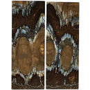 Mammoth Molar Scales- NATURAL Y-CUT- 1/8" x 1.3". 3.6"- Raffir® Fossils - Maker Material Supply