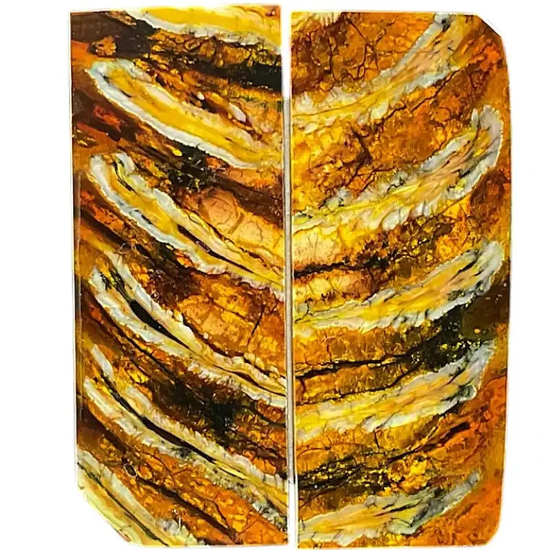 Mammoth Molar Scales- YELLOW- .14" x 1.4" x 3.2"- Raffir® Fossils- MY8 - Maker Material Supply