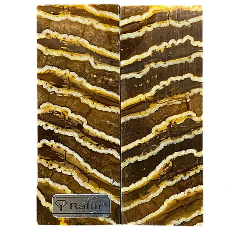 Mammoth Molar Scales- YELLOW- .15" x 1.4" x 3.7"- Raffir® Fossils- MY1 - Maker Material Supply