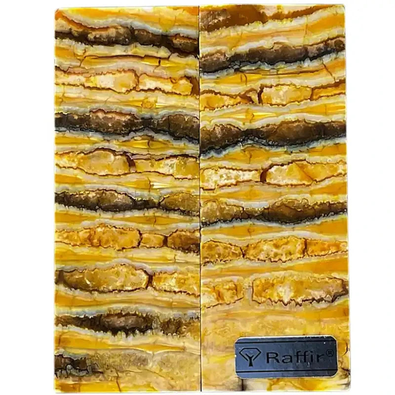 Mammoth Molar Scales- YELLOW- .16" x 1.4" x 3.7"- Raffir® Fossils- MY2 - Maker Material Supply
