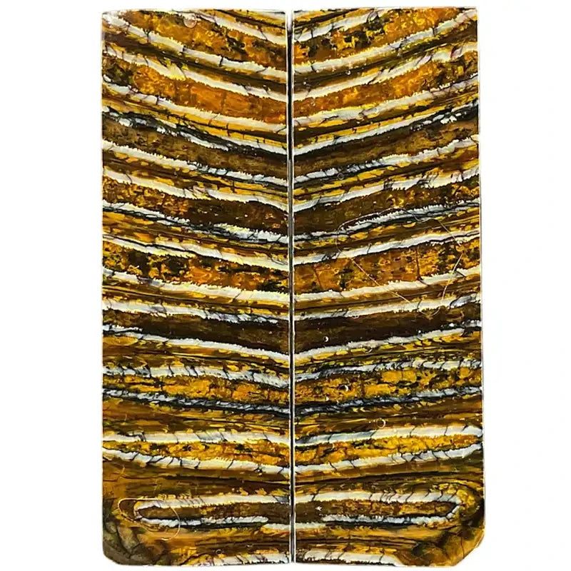 Mammoth Molar Scales- YELLOW- .26" x 1.6" x 4.2"- Raffir® Fossils- MY5 - Maker Material Supply
