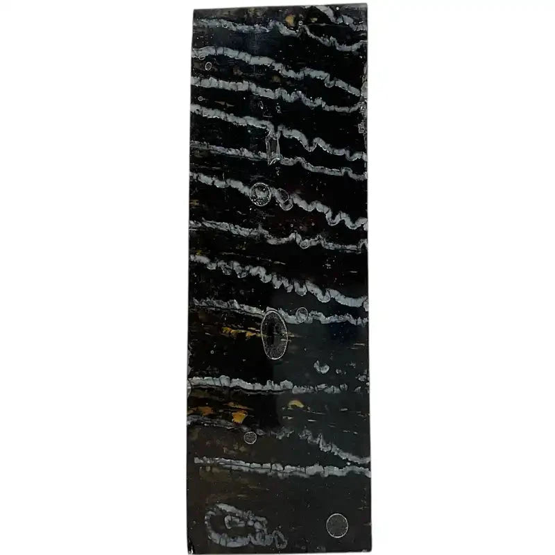 Mammoth Molar Slab- BLACK- .50" x 1.5" x 4.7"- Raffir® Fossils- MMB3 - Maker Material Supply