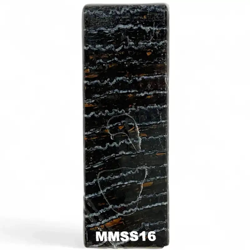 Mammoth Molar Slabs- VARIOUS COLORS- Raffir® FossilsHobbies & Creative Arts.22" x 1.6" x 4.7"- MMSS16