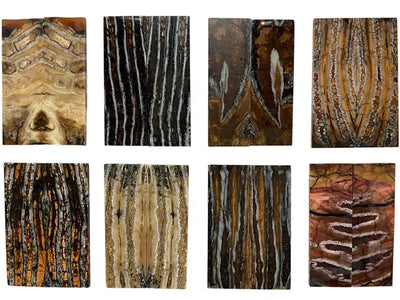 Mammoth Molar Small Sets- 1/8" x 1" x 3"- NATURAL- Raffir® Fossils - Maker Material Supply
