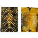 Mammoth Molar Small Sets- 1/8" x 1" x 3"- YELLOW- Raffir® Fossils - Maker Material Supply