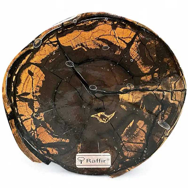 Mammoth Tusk Ivory Crosscut Round- .22" x 4.6" x 5.1"- Raffir® Fossils- MT51 - Maker Material Supply