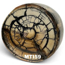 Mammoth Tusk Ivory Crosscut Round- by Raffir® Fossils - Maker Material Supply