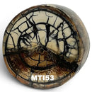 Mammoth Tusk Ivory Crosscut Round- by Raffir® FossilsHobbies & Creative Arts.90" x 2.2" x 2.4"- MTI53