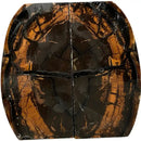 Mammoth Tusk Ivory Crosscut Scales- .22" x 1.1-1.4" x 3.5"- Raffir® Fossils- MT52 - Maker Material Supply