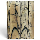 Mammoth Tusk Ivory Scales- .20" x 1.6" x 4.8"- Raffir® Fossils- MTI84Hobbies & Creative Arts