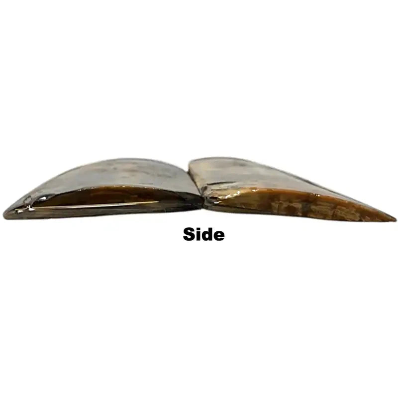 Mammoth Tusk Ivory Scales- .21-.3" x 1.4" x 3"- Raffir® Fossils- MT57 - Maker Material Supply