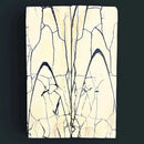 Mammoth Tusk Ivory Scales- .22" x 1.6" x 4.9"- Raffir® Fossils- MTI97Hobbies & Creative Arts