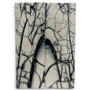 Mammoth Tusk Ivory Scales- .23" x 1.6" x 4.4"- Raffir® Fossils- MTI80Hobbies & Creative Arts