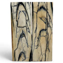 Mammoth Tusk Ivory Scales- .23" x 1.6" x 4.9"- Raffir® Fossils- MTI87Hobbies & Creative Arts