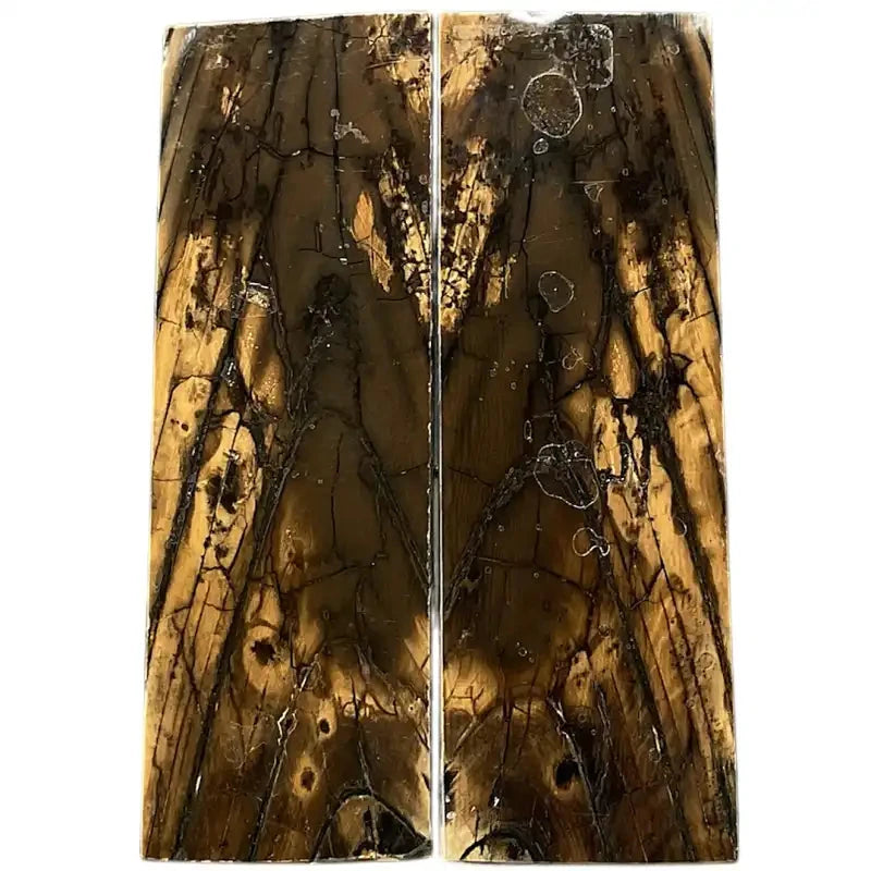 Mammoth Tusk Ivory Scales- .24" x 1.6" x 4.7"- Raffir® Fossils- MT30 - Maker Material Supply