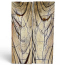 Mammoth Tusk Ivory Scales- .24" x 1.6" x 5.0"- Raffir® Fossils- MTI15 - Maker Material Supply
