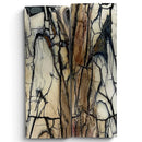 Mammoth Tusk Ivory Scales- .25" x 1.4" x 4.8"- Raffir® Fossils- MTI85Hobbies & Creative Arts