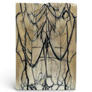 Mammoth Tusk Ivory Scales- .25" x 1.6" x 4.9"- Raffir® Fossils- MTI83Hobbies & Creative Arts