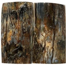 Mammoth Tusk Ivory Scales- .26-.35" x 1.6" x 3"- Raffir® Fossils- MT55 - Maker Material Supply