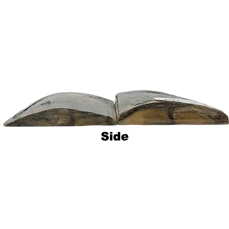 Mammoth Tusk Ivory Scales- .26-.35" x 1.6" x 3"- Raffir® Fossils- MT55 - Maker Material Supply