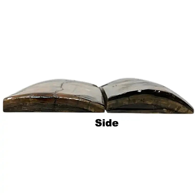 Mammoth Tusk Ivory Scales- .26-.44" x 1.65" x 3.5"- Raffir® Fossils- MT54 - Maker Material Supply