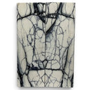 Mammoth Tusk Ivory Scales- .26" x 1.4" x 4.9"- Raffir® Fossils- MTI86Hobbies & Creative Arts