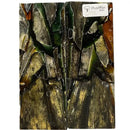 Mammoth Tusk Ivory Scales- .26" x 1.6" x 4.7"- Raffir® Fossils- MT48 - Maker Material Supply