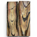 Mammoth Tusk Ivory Scales- .27" x 1.6" x 4.9"- Raffir® Fossils- MTI07 - Maker Material Supply