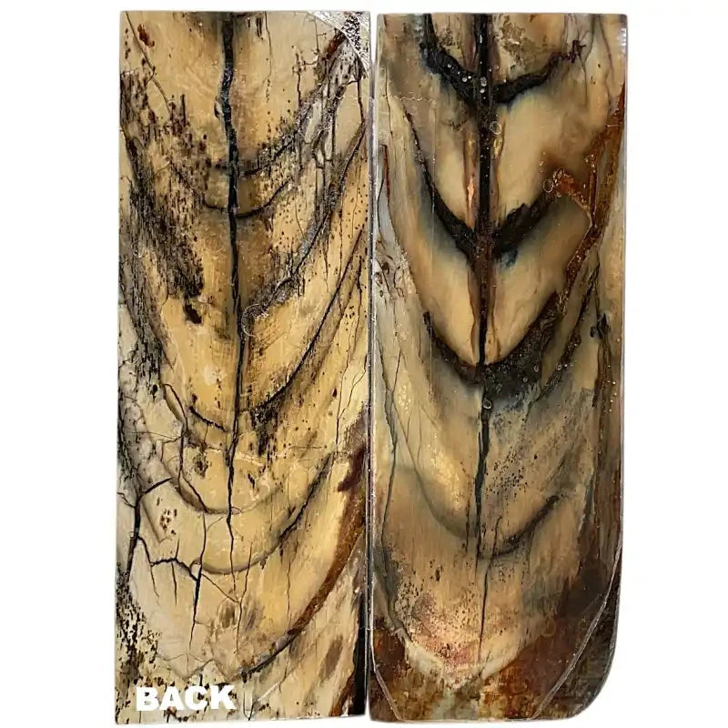 Mammoth Tusk Ivory Scales- .27" x 1.7" x 4.8"- Raffir® Fossils- MT2 - Maker Material Supply