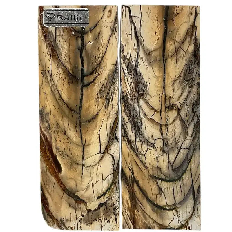 Mammoth Tusk Ivory Scales- .27" x 1.7" x 4.8"- Raffir® Fossils- MT2 - Maker Material Supply
