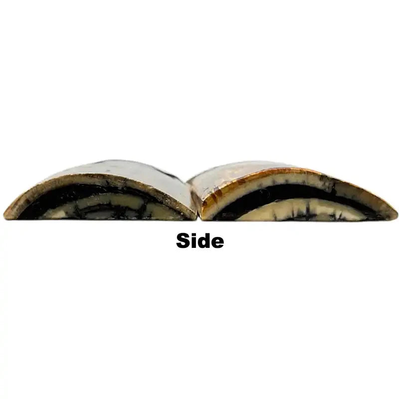 Mammoth Tusk Ivory Scales- .34-.47" x 1.55" x 3.1"- Raffir® Fossils- MT59 - Maker Material Supply