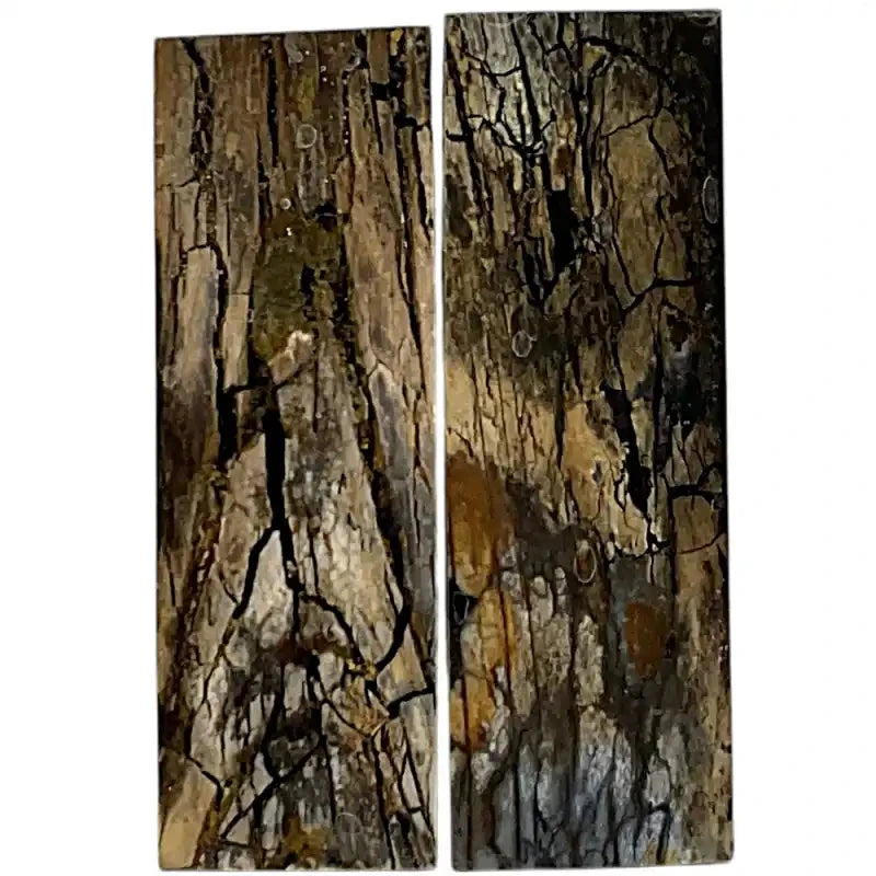Mammoth Tusk Ivory Scales- .24" x 1.6" x4.8"- Raffir® Fossils- MTIS15 - Maker Material Supply