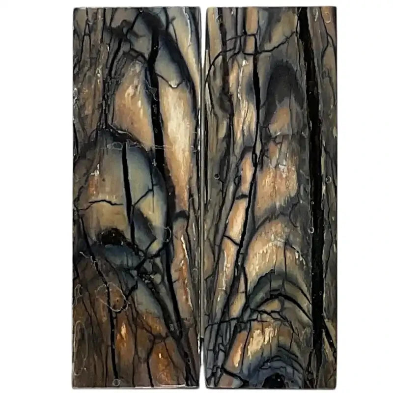 Mammoth Tusk Ivory Scales- .22" x 1.6" x 4.8"- Raffir® Fossils- MTIS16 - Maker Material Supply