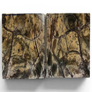 Mammoth Tusk Ivory Small Scales- .25" x 1.6" x 2.4"- Raffir® Fossils- MTI46 - Maker Material Supply