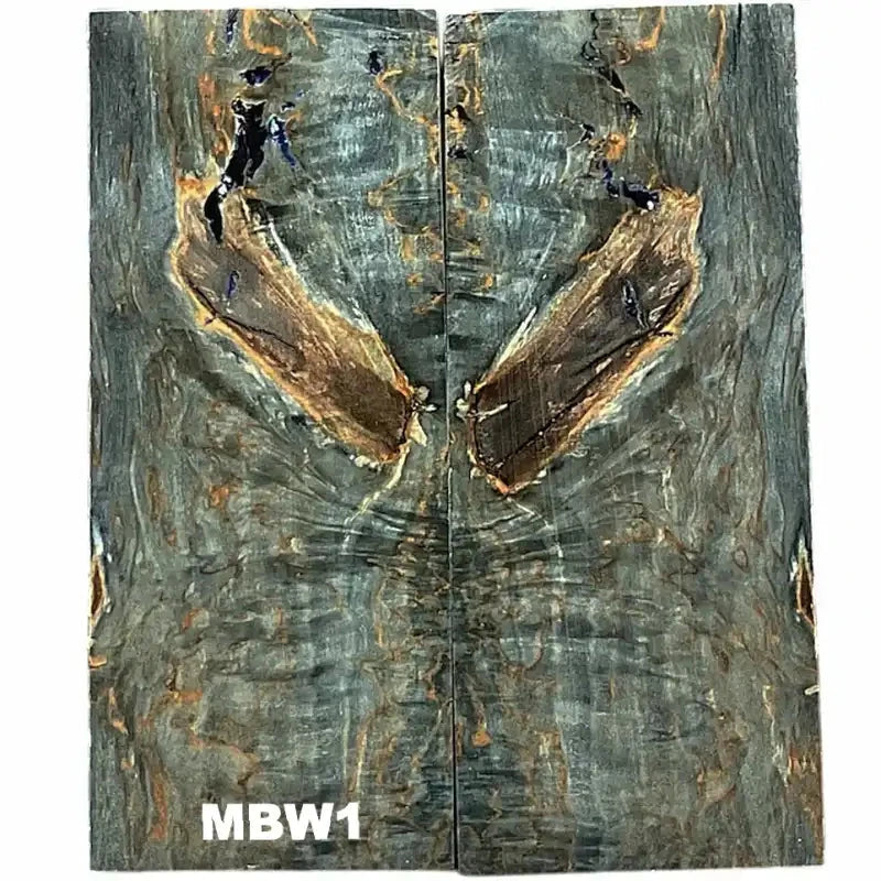 Masur Birch Wood- BLUE CURLY- Raffir® Wood - Maker Material Supply