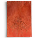 Masur Birch Wood- RED CURLY- Raffir® Wood - Maker Material Supply