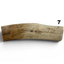 Moose Antler Rolls - Maker Material Supply