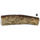 Moose Antler Rolls - Maker Material Supply