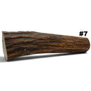Moose Antler Rolls - Maker Material Supply