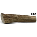 Moose Antler Rolls - Maker Material Supply