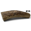Moose Antler Rolls - Maker Material Supply