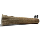 Moose Antler Rolls - Maker Material Supply