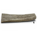 Moose Antler Rolls - Maker Material Supply