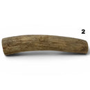 Moose Antler Rolls - Maker Material Supply