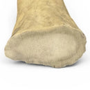 Moose Antler Rolls - Maker Material Supply