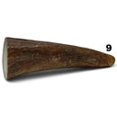 Moose Antler Tips - Maker Material Supply