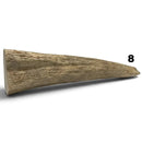 Moose Antler Tips - Maker Material Supply